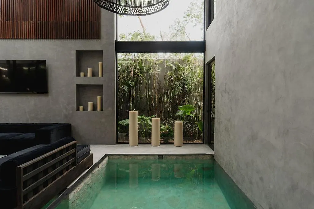 Villa Niburu A House Vacation That Everyone Will Remember 图卢姆 墨西哥